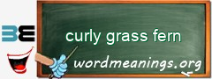 WordMeaning blackboard for curly grass fern